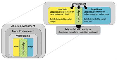 Understanding Multilevel Selection May Facilitate Management of Arbuscular Mycorrhizae in Sustainable Agroecosystems